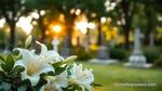 Colucci Funeral Home Obituaries Services Guide