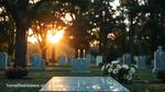 Scales and Sons Funeral Home Obituaries Details